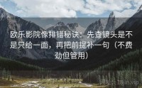 欧乐影院像排错秘诀：先查镜头是不是只给一面，再把前提补一句（不费劲但管用）