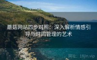 蘑菇网站四步对照：深入解析情感引导与时间管理的艺术