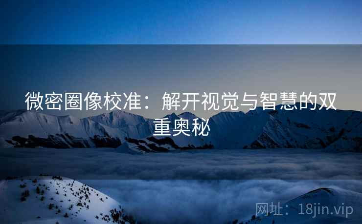 微密圈像校准：解开视觉与智慧的双重奥秘
